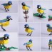 Une Mésange bleue en… Lego